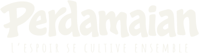 Perdamaian VKU CODE